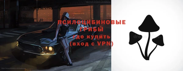 2c-b Верея